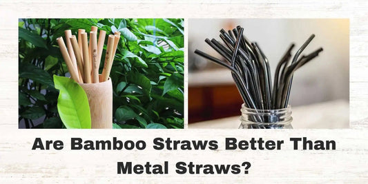 Are Bamboo Straws Better Than Metal Straws? - Meserii
