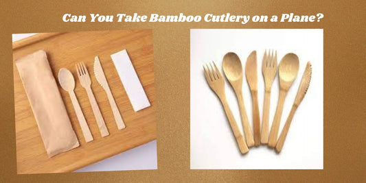 take bamboo cutlery on a plane