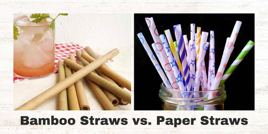 Bamboo Straws vs. Paper Straws - Meserii