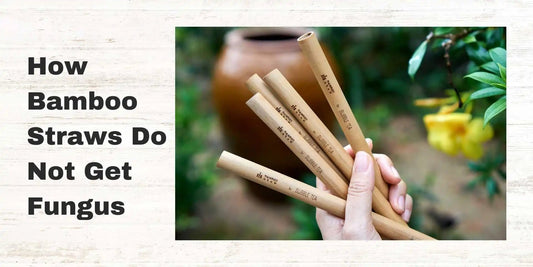 How Bamboo Straws Do Not Get Fungus - Meserii