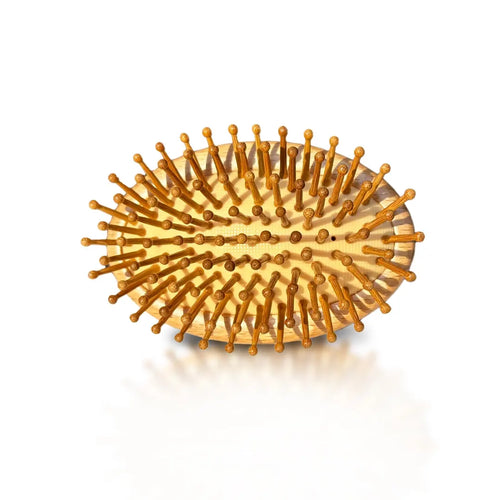 Eco-friendly bamboo hairbrush for all hair types, with detangle tail comb