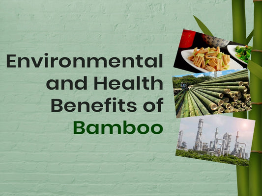 Bamboo: Eco & Health Benefits