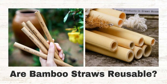 Reusable Bamboo Straws