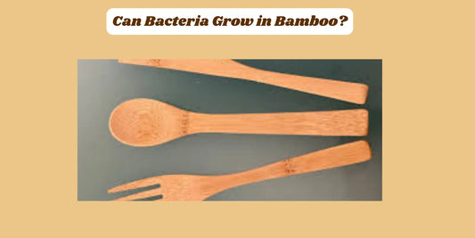 whether bacteria grows in bamboo