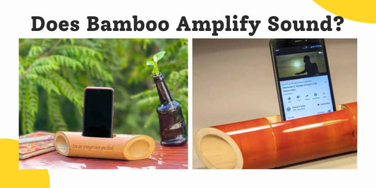 bamboo amplify sounds like