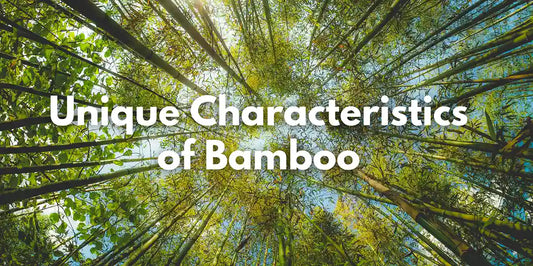 Bamboo unique characteristics