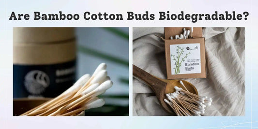 are bamboo cotton buds biodegradable