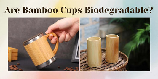 bamboo cups are biodegradable