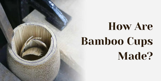 bamboo cups are made of what