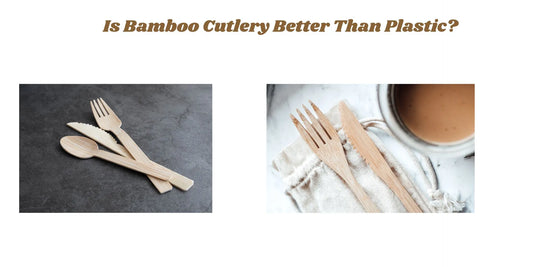 bamboo vs plastic cutlery