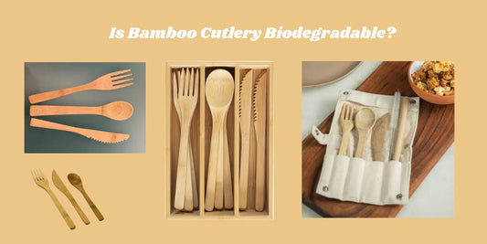 bamboo cutlery is biodegradable