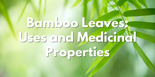 Bamboo Leaves Uses and Medicinal Properties