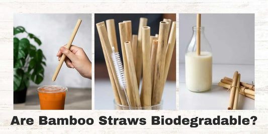 bamboo straws biodegradable