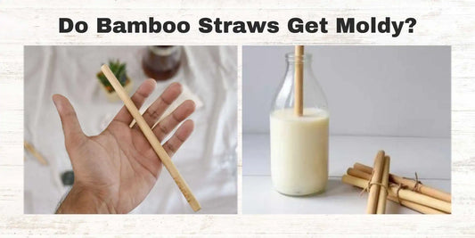 bamboo straws get moldy