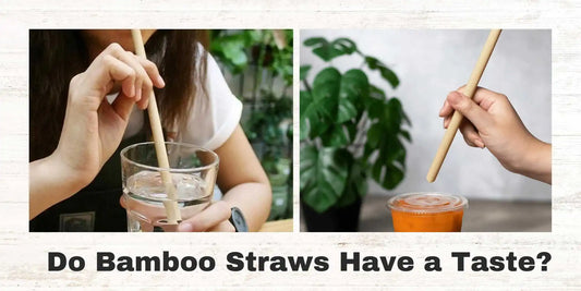 Do Bamboo Straws Have a Taste