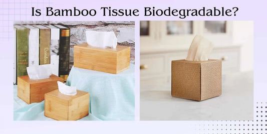 Bamboo Tissue Biodegradability