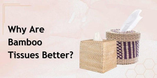 bamboo tissues are better