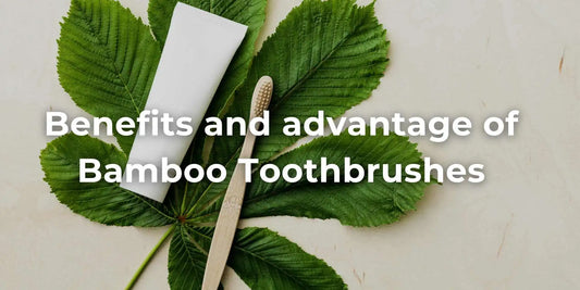 bamboo toothbrush benefits and advantage