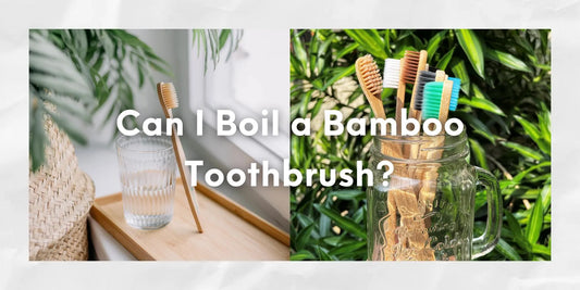 boil bamboo toothbrush