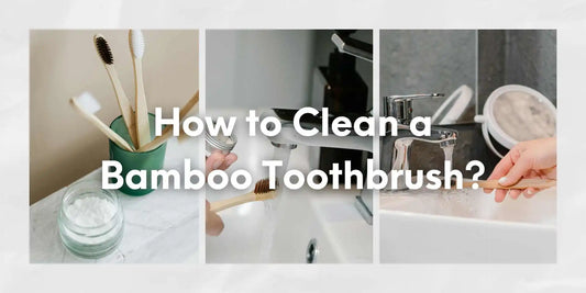 bamboo toothbrush care