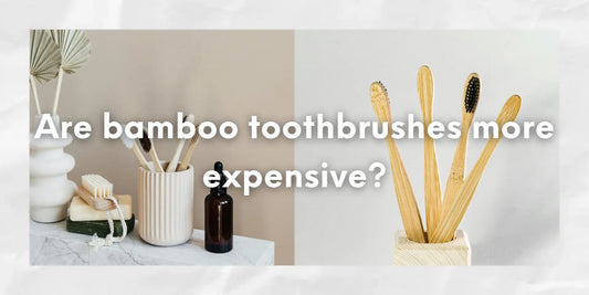 bamboo toothbrush expensive or not