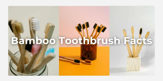 amazing facts of bamboo toothbrush