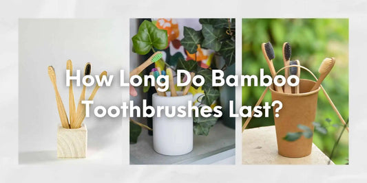 bamboo toothbrush last