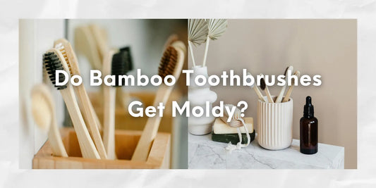 moldy bamboo toothbrush