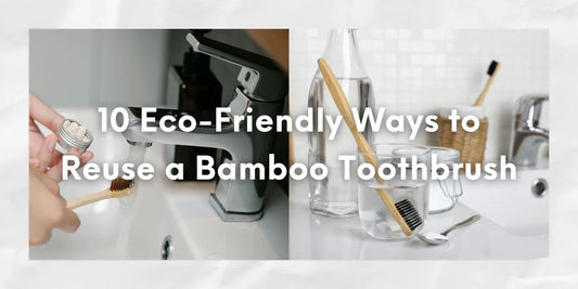 bamboo toothbrush reuse ways