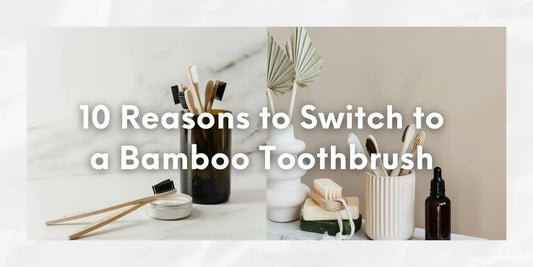 reason to switch bamboo toothbrush