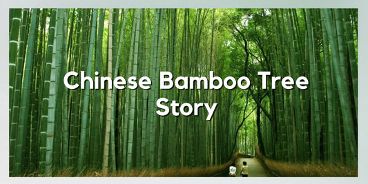 Chinese Bamboo Tree Story