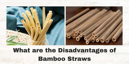 bamboo straws disadvantages