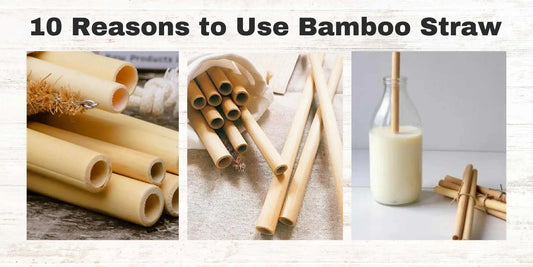 Reasons to Use Bamboo Straw