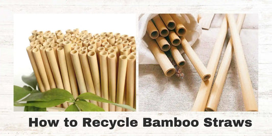 Recycling Bamboo Straws