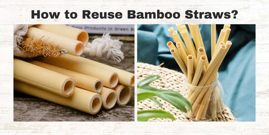 reuse bamboo straws