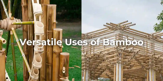 Versatile Bamboo Uses